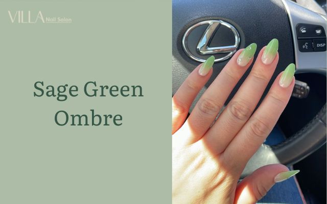 Sage Green Ombre