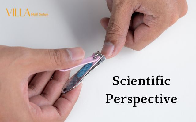 Scientific Perspective